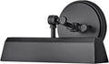 Hinkley Arti Small Adjustable Accent Picture Light, Black