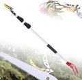 Telescopic Pole Saw & Fruit Picker - 1.8-3.0m Long Reach Pruner for Effortless Tree Trimming, Hedge Cutting & High Branch Access - Essential Gardening Tool for Easy Shrub Maintenance