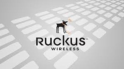 803-P300-1100 - Ruckus Wireless WatchDog - Extended Service - 1 Year - Service - Service Depot -