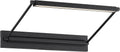 WAC Lighting dweLED, Hudson 17in LED Adjustable Picture Light 3000K in Black
