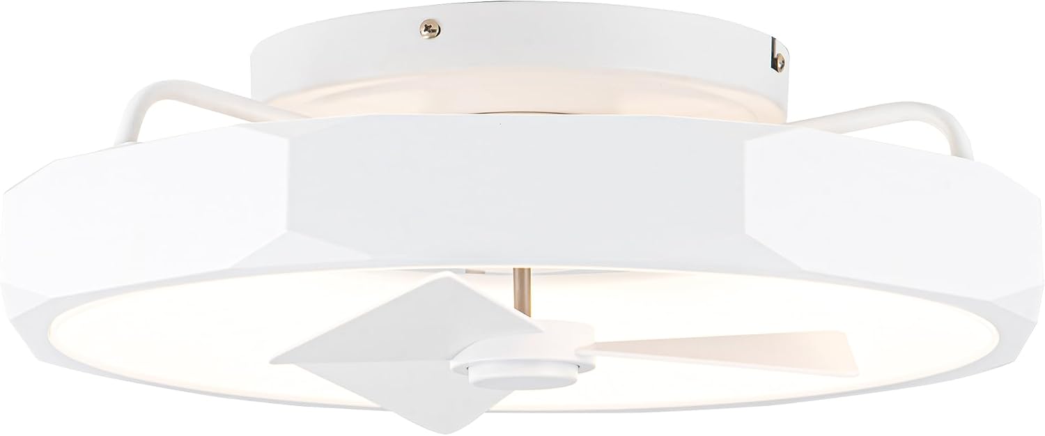 Parrot Uncle Low Profile Ceiling Fans with Lights and Remote, 20 Inch Bladeless Ceiling Fan for Bedroom Flush Mounted, Dimmable Light, Reversible DC Motor, Timer (White)