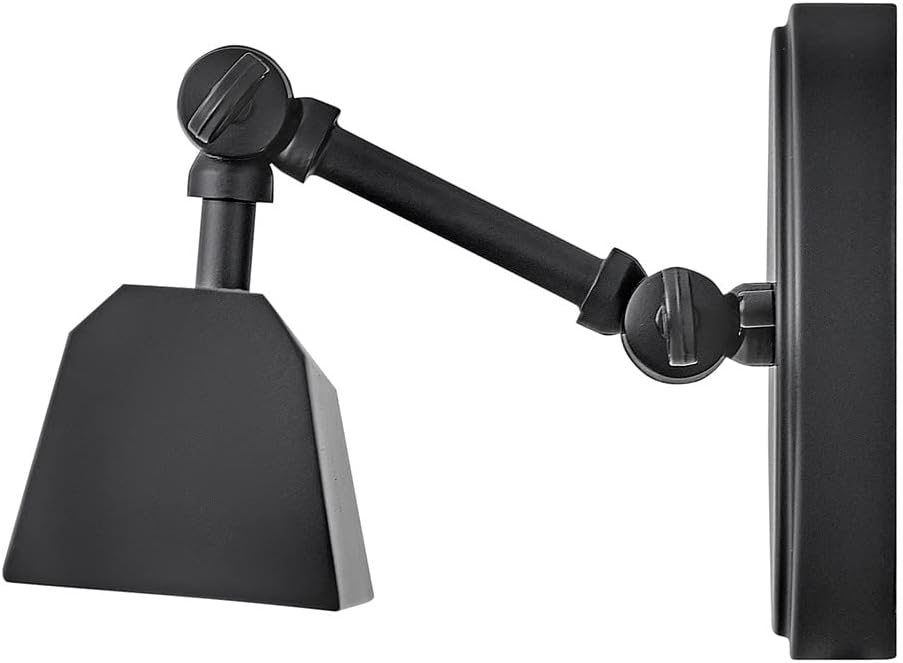 Hinkley Arti Small Adjustable Accent Picture Light, Black