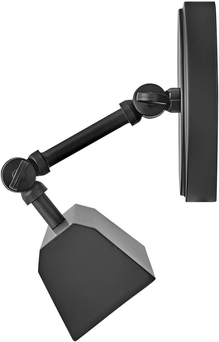 Hinkley Arti Medium Adjustable Accent Picture Light, Black
