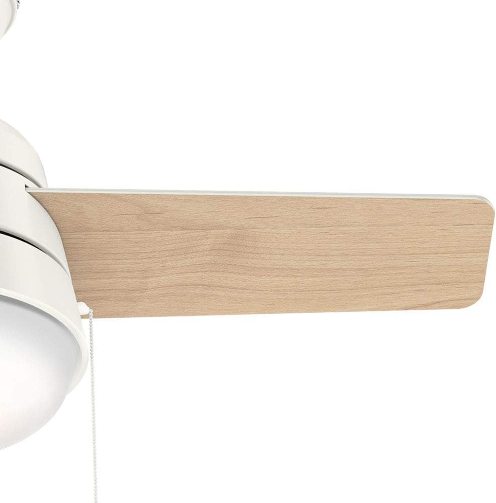 Hunter Fan 36 Inch Fresh White Indoor Ceiling Fan with Light and Pull Chain for Bedroom, Kitchen, Living Room (Renewed)