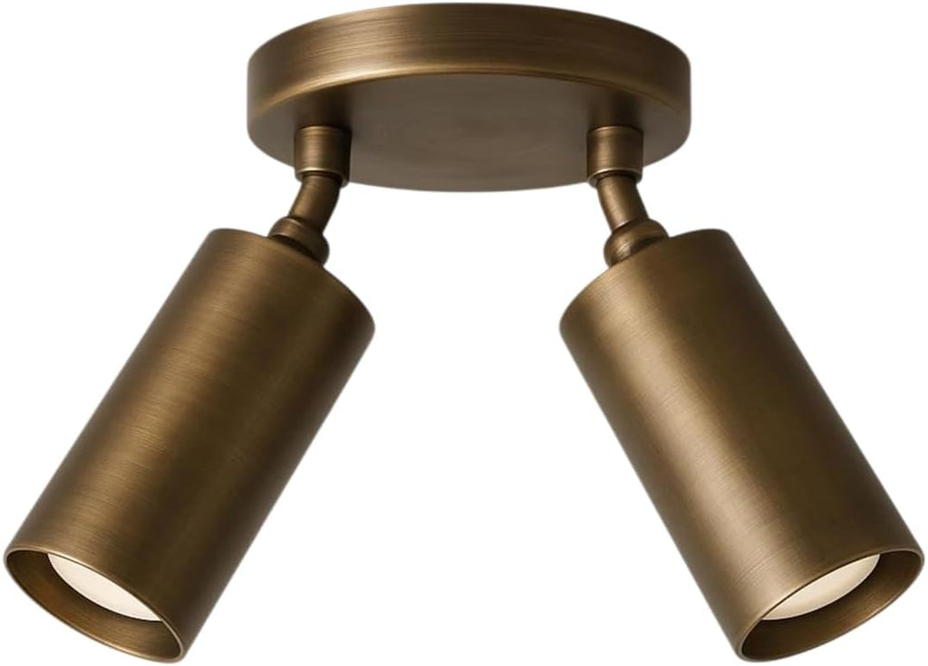 Modern Brass Adjustable Ceiling Spotlight – 2 Light Directional Ceiling Fixture, Dual Head Metal Spot Light for Living Room Bedroom Hallway Kitchen Indoor Lighting (Brushed Brass)