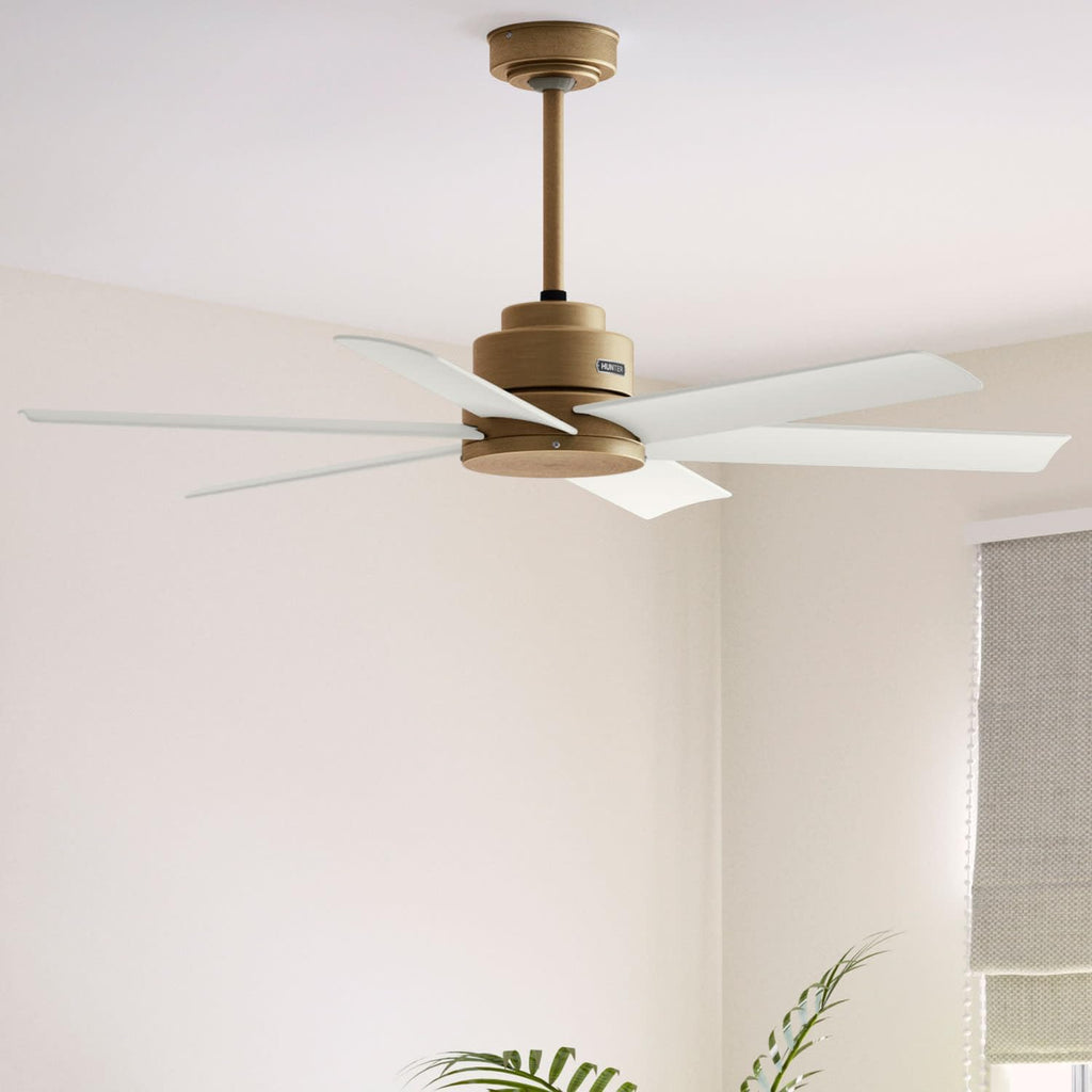 Hunter 52' Kennicott Indoor/Outdoor Ceiling Fan, Wall Control, Luxe Gold | SureSpeed high velocity airflow and no-light design suit covered patios, porches, bedrooms, or living rooms with easy setup.