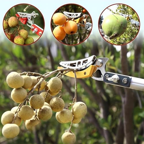Telescopic Pole Saw & Fruit Picker - Adjustable 1.8-4m Long Reach Pruner for Effortless Tree, Shrub & Hedge Trimming - Essential Gardening Tool for High Branch Access & Pruning