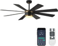 SHOWDI Ceiling Fans with Lights and Remote, Black Gold 60 in | 2 Blade Color, Metal Material, App Remote Control, Timer, Reversible, 3CCT, Dimmable for Bedroom, Living room, Indoor