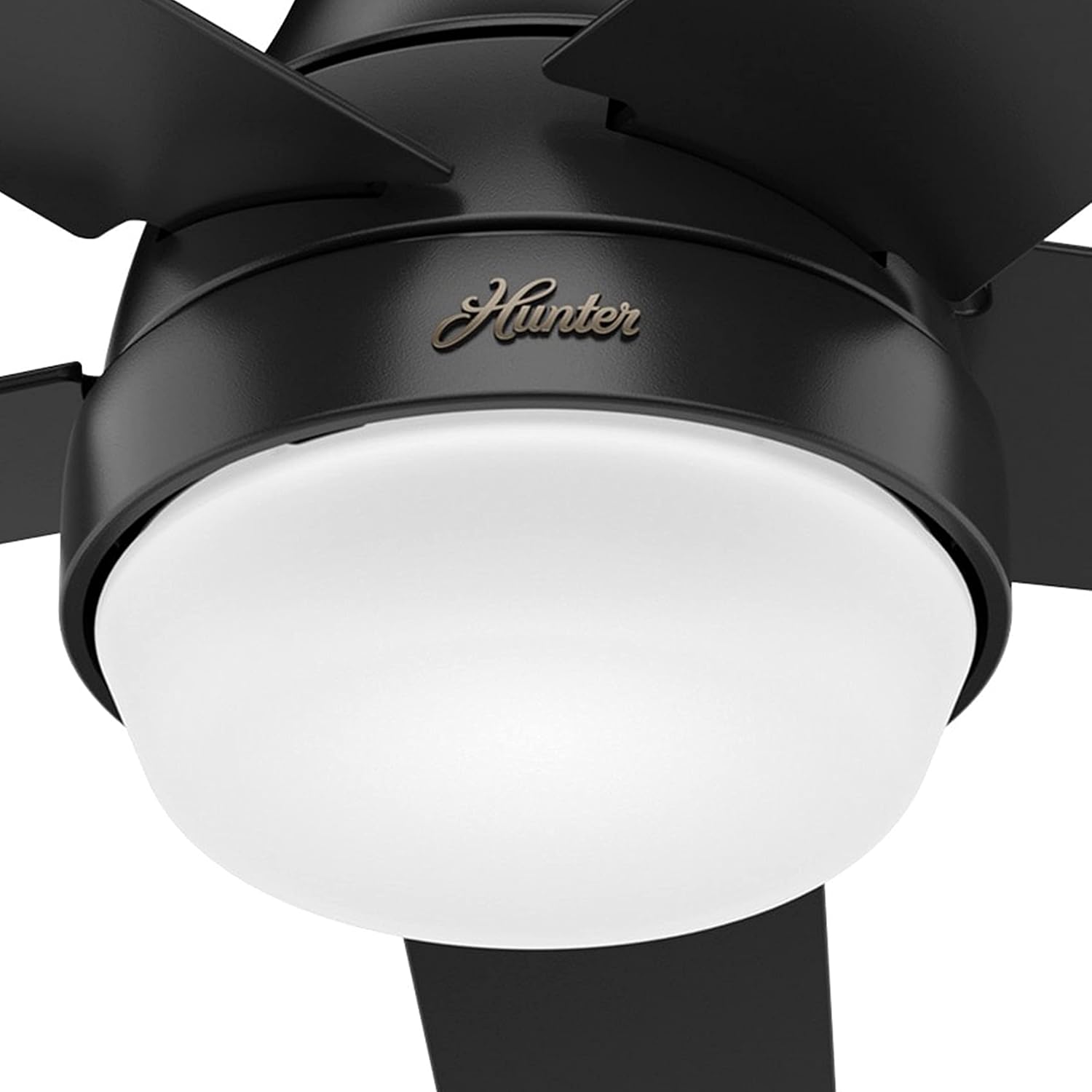 Hunter Fan 52 inch Contemporary Matte Black Indoor Ceiling Fan with Light Kit and Remote Control (Renewed)