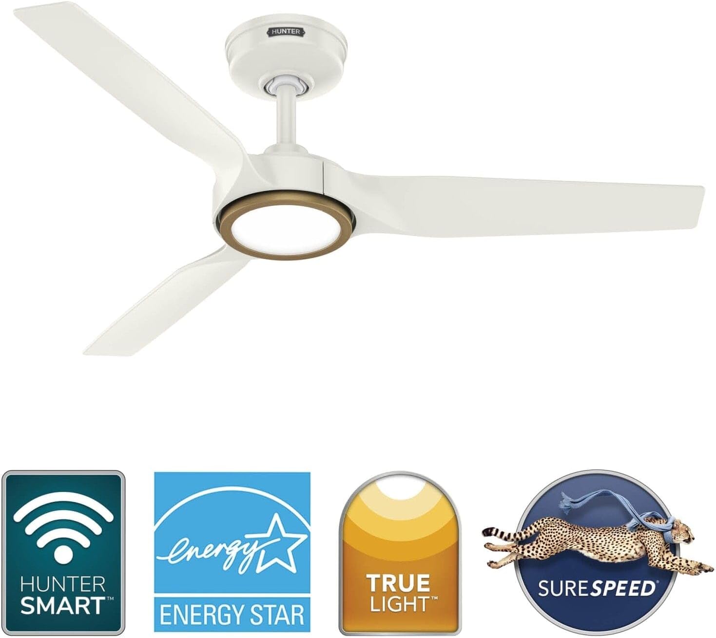 Hunter Fan Outdoor or Indoor Ceiling Fan, 44 in White Ceiling Fan with Light and Remote for Patios, Living Room, Bedroom, Porch, Garage, 3 Blades (Renewed)