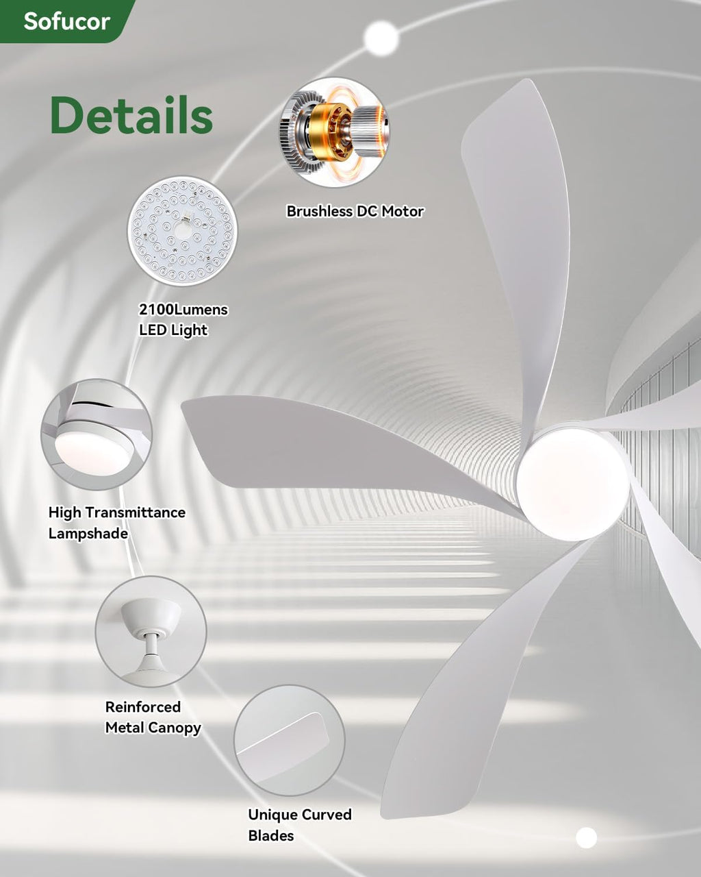 Sofucor 52 Inch Ceiling Fans with Lights and Remote, Outdoor Ceiling Fan with Light 6-Speed 3 CCT 3-Timer, White Low Profile Ceiling Fan 5 Blade Reversible DC Motor for Living Room Bedroom Patio