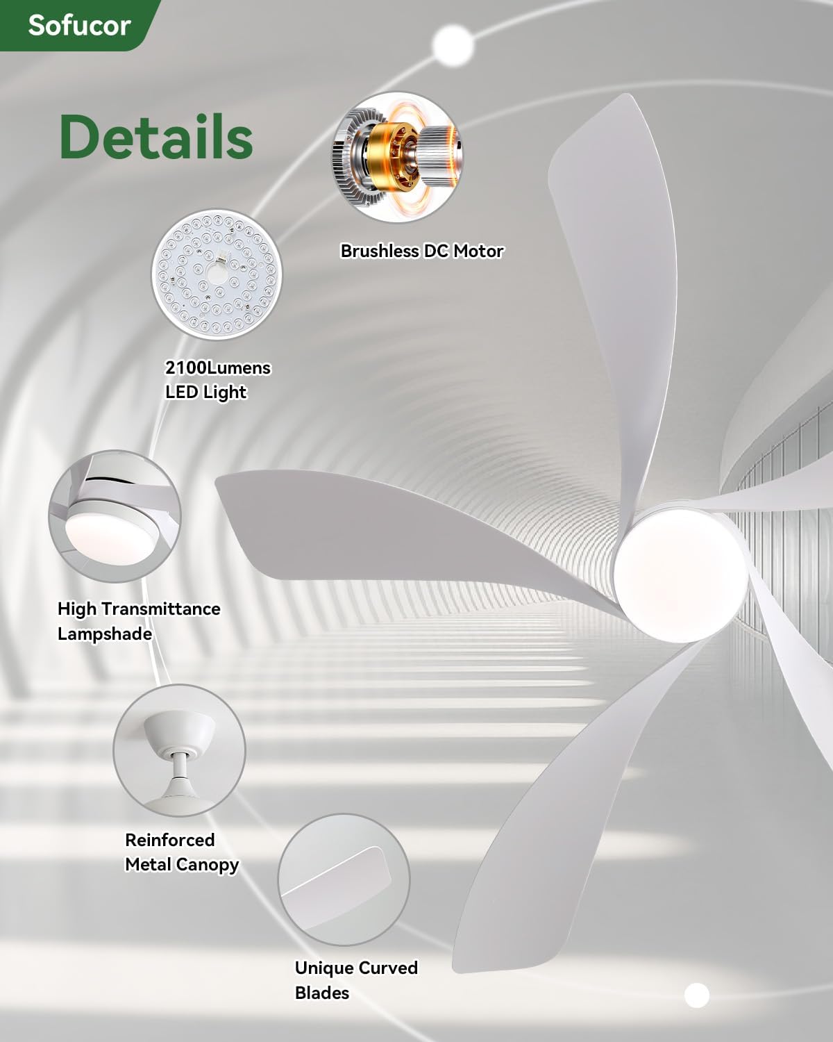 Sofucor 52 Inch Ceiling Fans with Lights and Remote, Outdoor Ceiling Fan with Light 6-Speed 3 CCT 3-Timer, White Low Profile Ceiling Fan 5 Blade Reversible DC Motor for Living Room Bedroom Patio