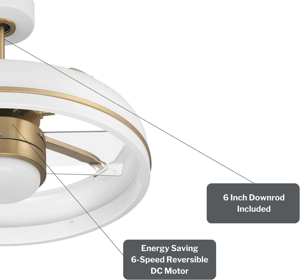 Craftmade TYL24WSB3-NWF Taylor 24 Inch 3 Blade Ceiling Fan | White and Satin Brass Finish with Clear Acrylic Blades | Integrated 1167 Lumens LED 3000K | Remote Included | DC Motor Indoor Fandelier