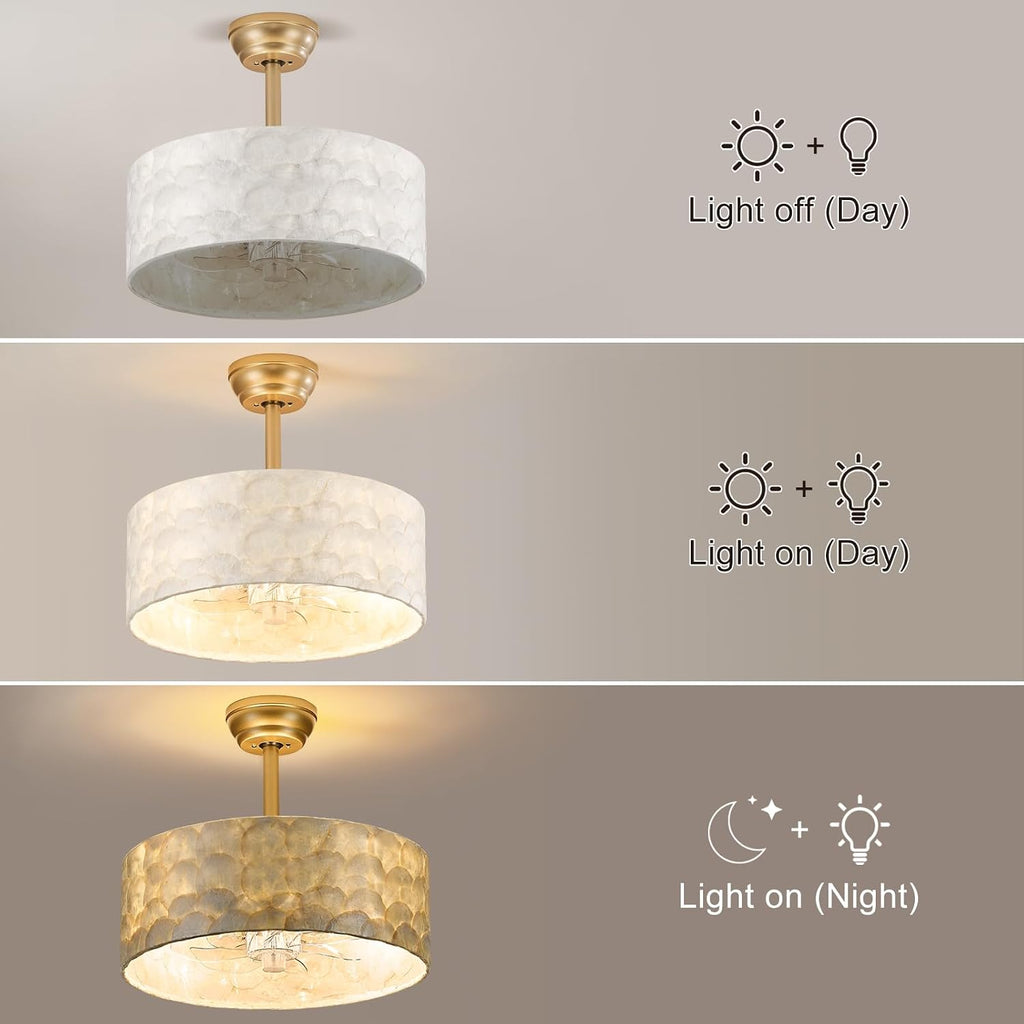 Boho Chandelier Ceiling Fan, Capiz Shell Fandelier Ceiling Fan with Light and Remote Control, Coastal Caged Ceiling Fan for Bedroom,Living Room,Nursery,Foyer(6 Speed, Timing,Adjustable Height)