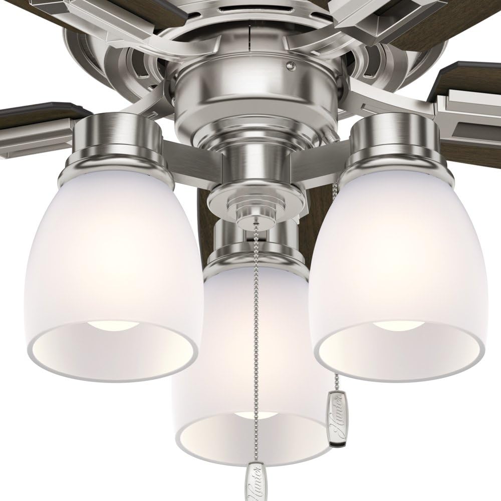 Hunter Fan 44 inch Casual Ceiling Fan in Brushed Nickel with LED Lights (Renewed)
