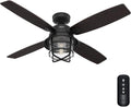 Hunter Fan 52 inch Casual Natural Iron Indoor Ceiling Fan with Light Kit and Remote Control (Renewed)