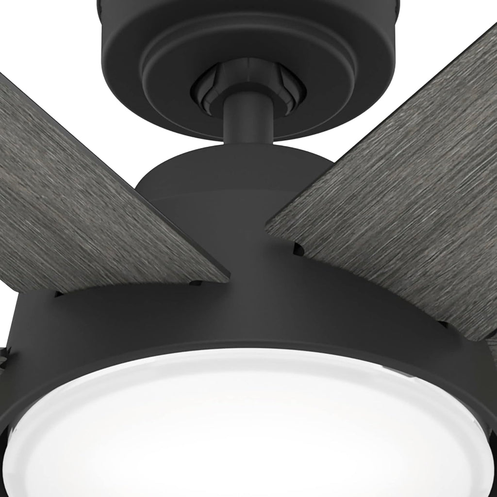 Hunter 52 inch Donatella Matte Black Ceiling Fan with LED Light Kit and Handheld Remote