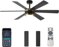 SHOWDI Ceiling Fans with Lights and Remote, Black-Gold, 56 in | 2 Blade Color, Metal Material, App Remote Control, Timer, Reversible, 3CCT, Dimmable for Bedroom, Living room, Indoor