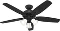Hunter 52 inch Indoor Ceiling Fan with LED Lights - Black Ceiling Fan with Pull Chain, For Bedroom or Living Room, Standard Mount, No Remote, 5 Blades, Includes Bulbs- Builder Plus 52387, Matte Black