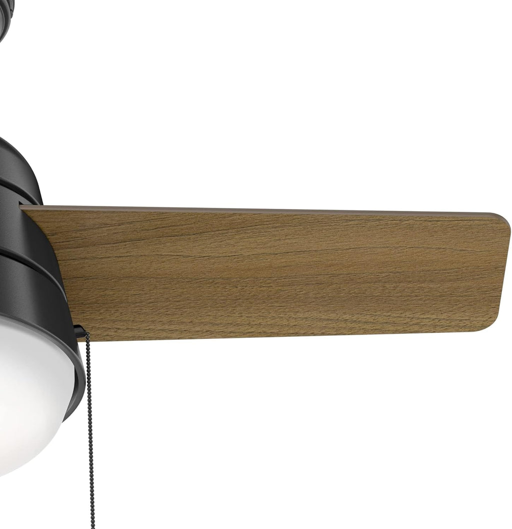 Hunter Fan 36 Inch Matte Black Indoor Ceiling Fan with Light and Pull Chain for Bedroom, Kitchen, Living Room (Renewed)