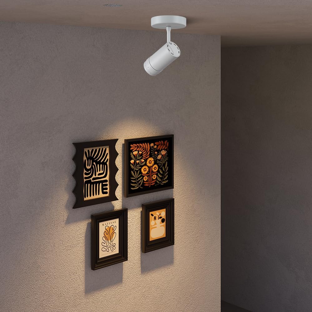4 Pack 9W LED Zoomable Ceiling Spotlight Indoor, Dimmable Directional Wall Surface Fixture, Adjustable Beam Angle 10°–55°, Wired Home Indoor Accent Lighting for Corridor, Picture, White