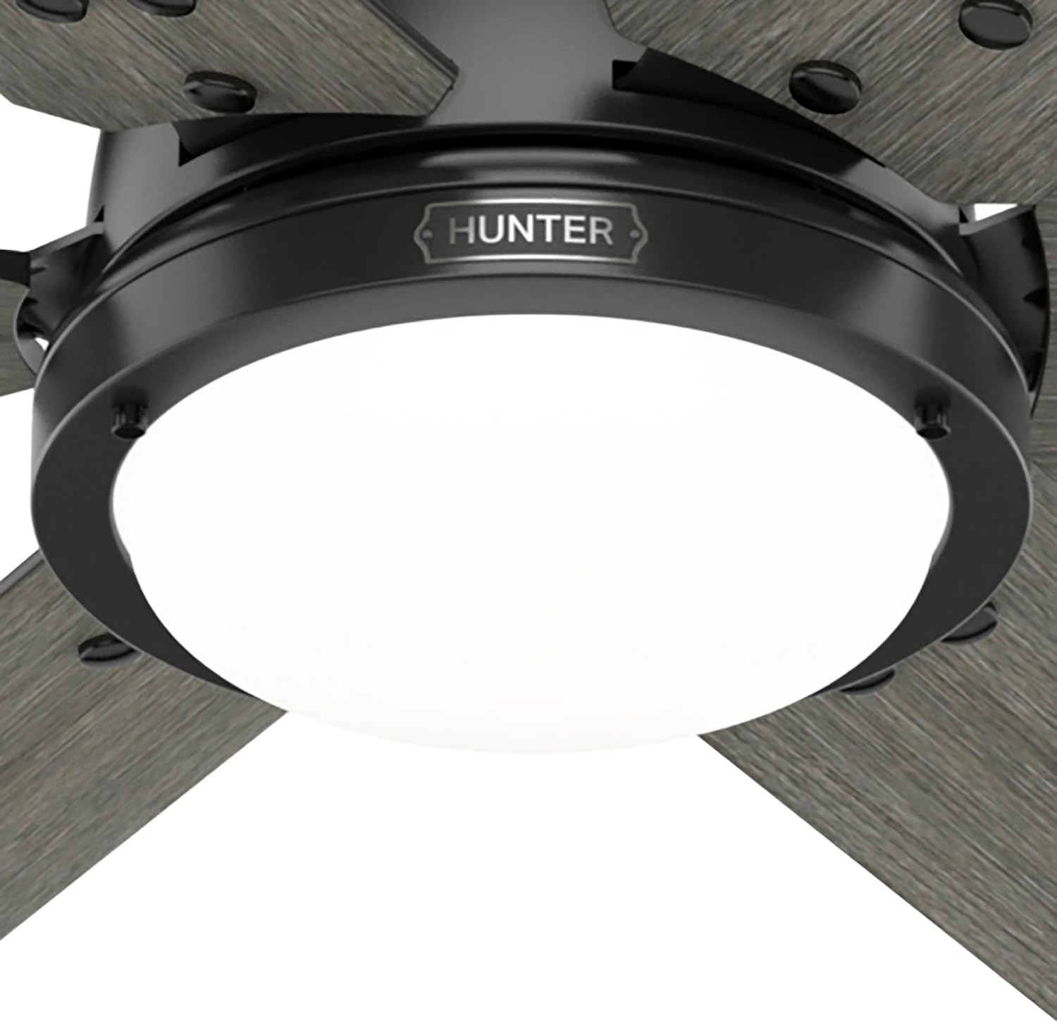 Hunter Fan 72 Inch Matte Black Ceiling Fan with Lights and Remote Control, Indoor Ceiling Fan for Living Room, Bedroom, Farmhouse, Kitchen (Renewed)