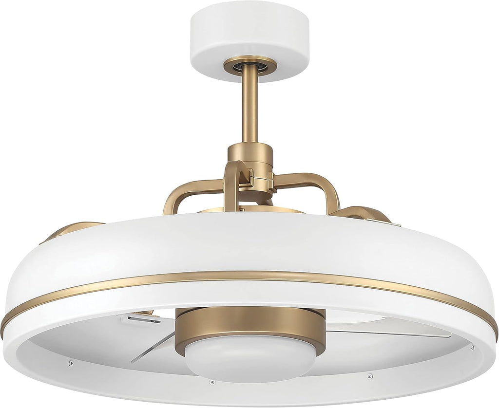 Craftmade TYL24WSB3-NWF Taylor 24 Inch 3 Blade Ceiling Fan | White and Satin Brass Finish with Clear Acrylic Blades | Integrated 1167 Lumens LED 3000K | Remote Included | DC Motor Indoor Fandelier