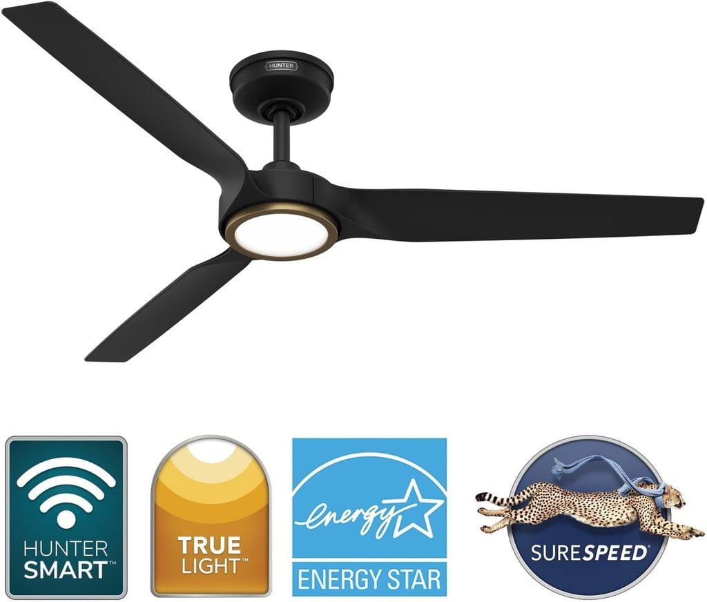 Hunter Fan Outdoor or Indoor Ceiling Fan, 52 in White Ceiling Fan with Light and Remote for Patios, Living Room, Bedroom, Porch, Garage, 3 Blades (Renewed) (Matte Black)