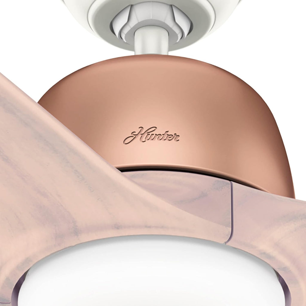 Hunter Fan Company 59425 Norden Ceiling Fan, 54, Satin Copper Finish