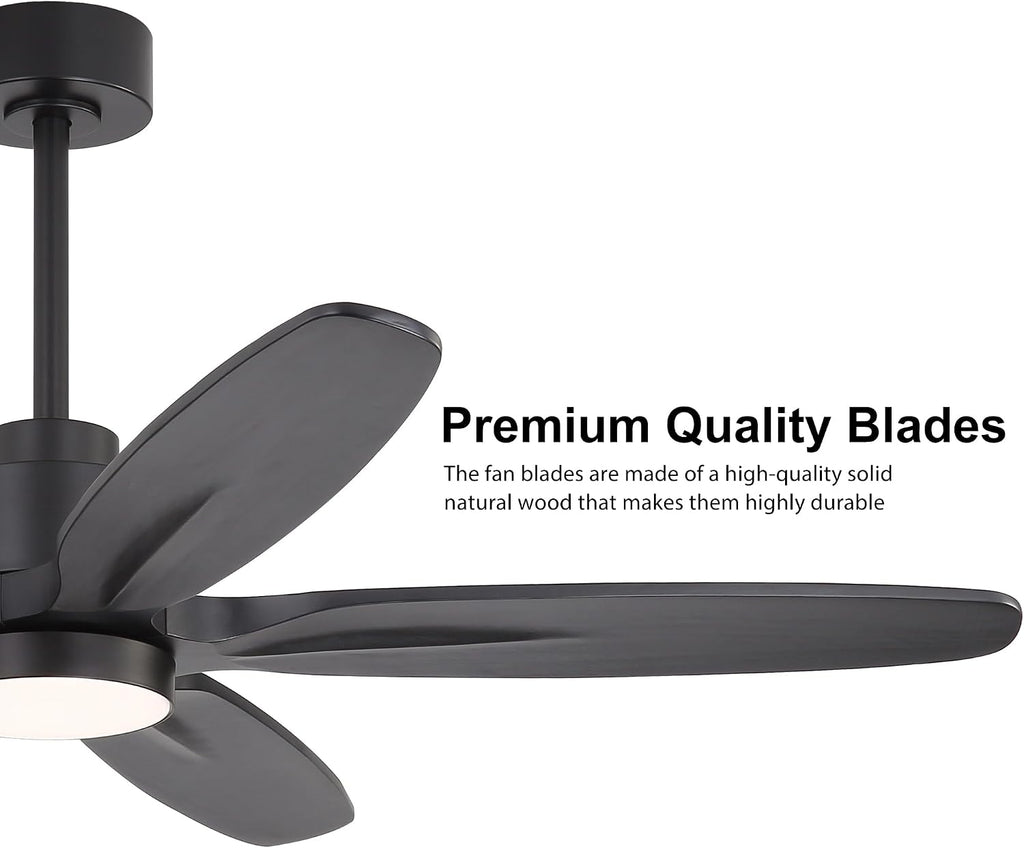 WINGBO 54' Ceiling Fan with Light - 5 Carved Solid Wood Blades, 6-Speed Reversible DC Motor, Dimmable, 3CCT, Noiseless Remote Control Ceiling Fans with Lights for Bedroom Living Room, Matte Black