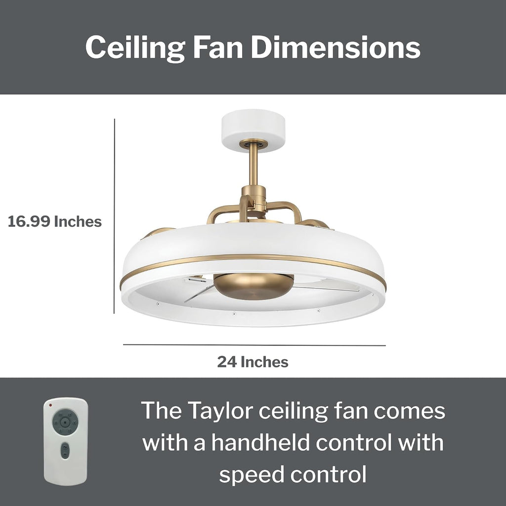 Craftmade TYL24WSB3-NWF Taylor 24 Inch 3 Blade Ceiling Fan | White and Satin Brass Finish with Clear Acrylic Blades | Integrated 1167 Lumens LED 3000K | Remote Included | DC Motor Indoor Fandelier