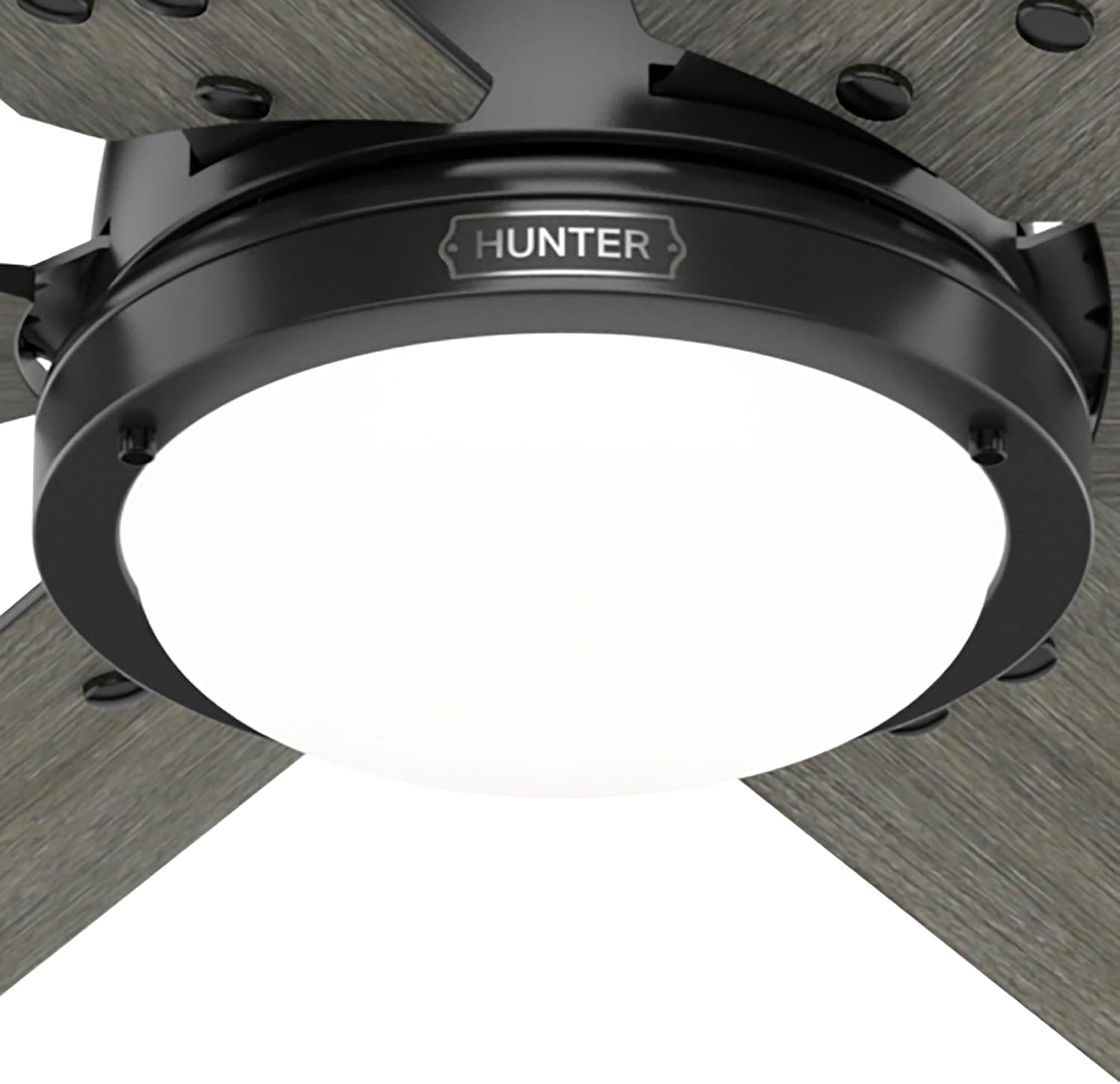 Hunter Fan Smart WiFi LED Ceiling Fan, 60 inch Matte Black Indoor Smart Ceiling Fan with Remote, App Control with Speed and Lighting, Compatible for smart home devices (Renewed)