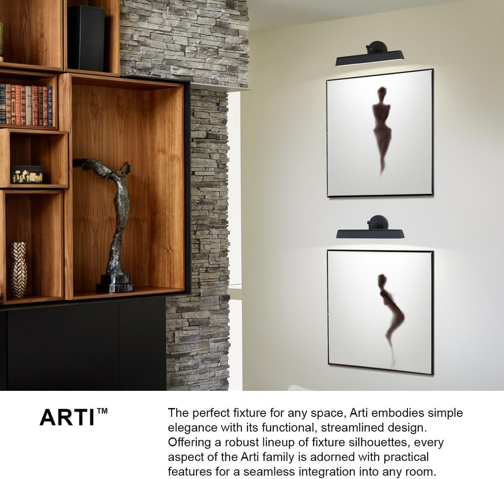 Hinkley Arti Medium Adjustable Accent Picture Light, Black