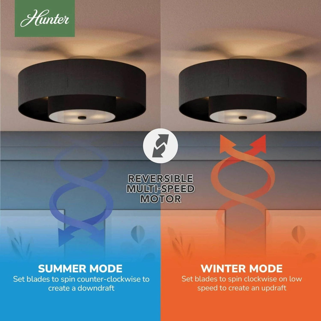 Hunter Fan 30 inch Matte Black - Indoor Fandelier with Light, Remote, Modern-Style, Ceiling Fan for Living Room, Bedroom, Mudroom, Office, Kitchen (Renewed)