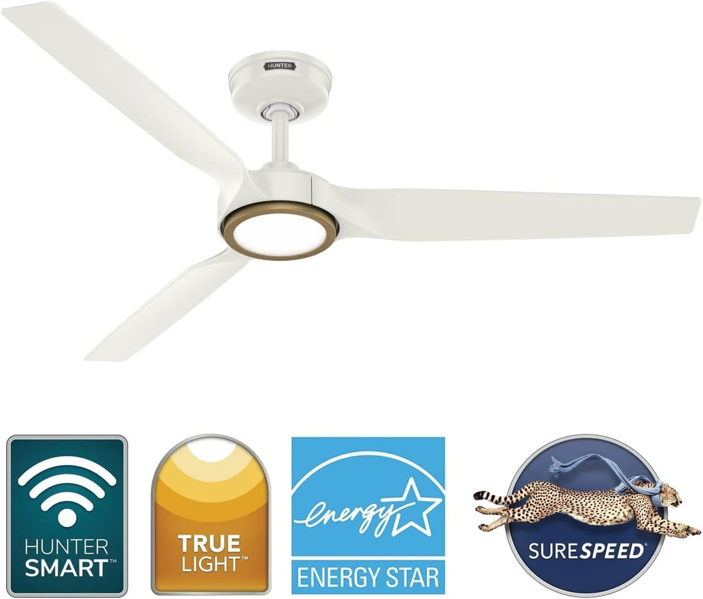 Hunter Fan Outdoor or Indoor Ceiling Fan, 52 in White Ceiling Fan with Light and Remote for Patios, Living Room, Bedroom, Porch, Garage, 3 Blades (Renewed)
