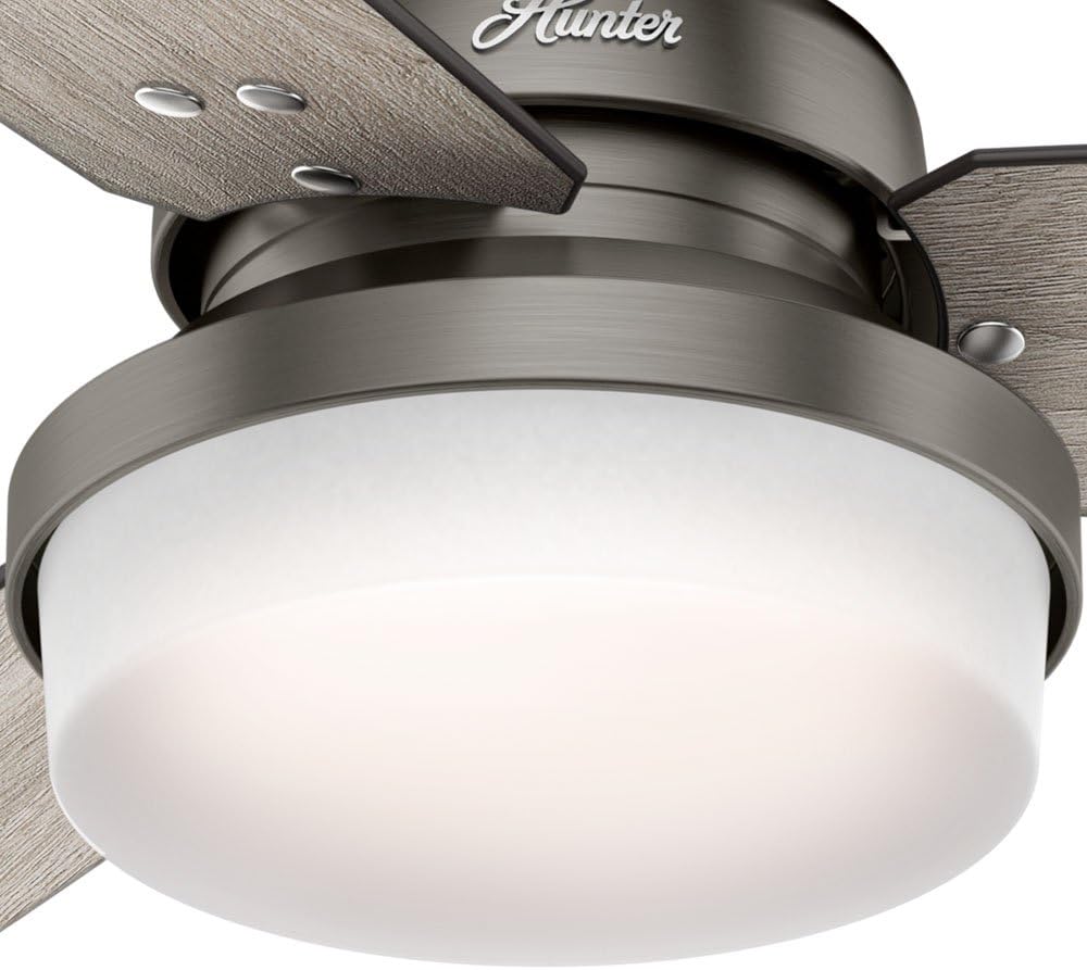 Hunter Fan 52 inch Brushed Slate Contemporary Ceiling Fan with LED Light Kit and Remote Control (Renewed)