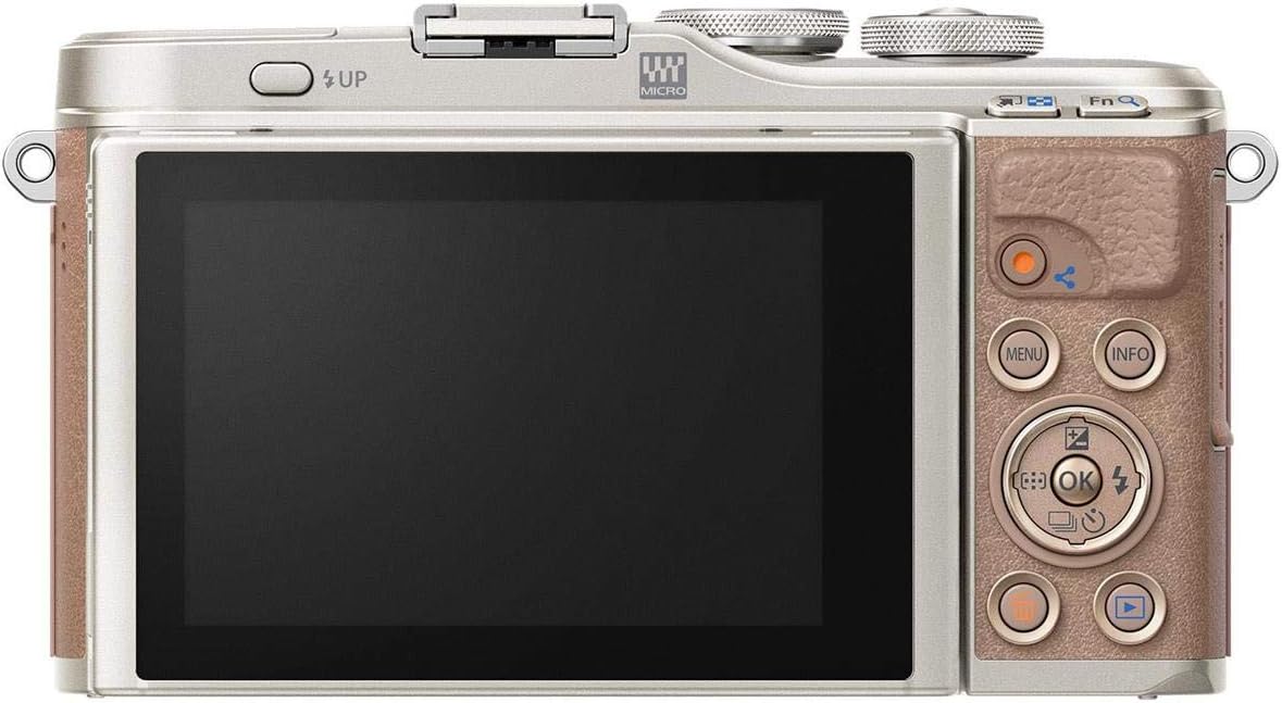 OM SYSTEM Olympus Pen E-PL10 Brown