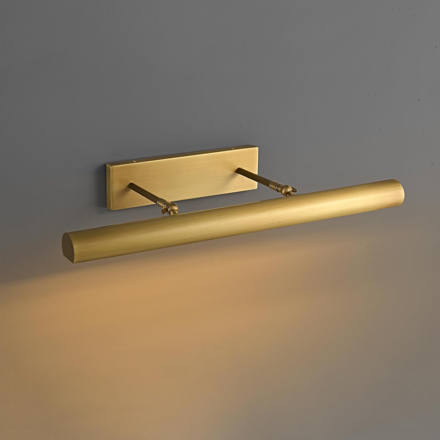 Modern Brass Picture Light (270° Rotatable, Hardwired) - Art Light for Painting, Artwork, Portrait Display, Suitable for Oil Paintings, Galleries, Bookshelves,