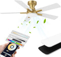 42 Inch Ceiling Fans with lights,RGB Low Profile Ceiling Fan with Light and Remote Control,Modern Flush Mount Ceiling Fans for Bedroom,Patio,Porch,Outdoor Indoor Use,in Black White and Gold,Quiet