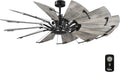 Progress Lighting Springer Collection DC Motor Farmhouse Windmill Ceiling Fan, Matte Black, 12-Blade (60' W x 17-3/8' H) P250000-31M