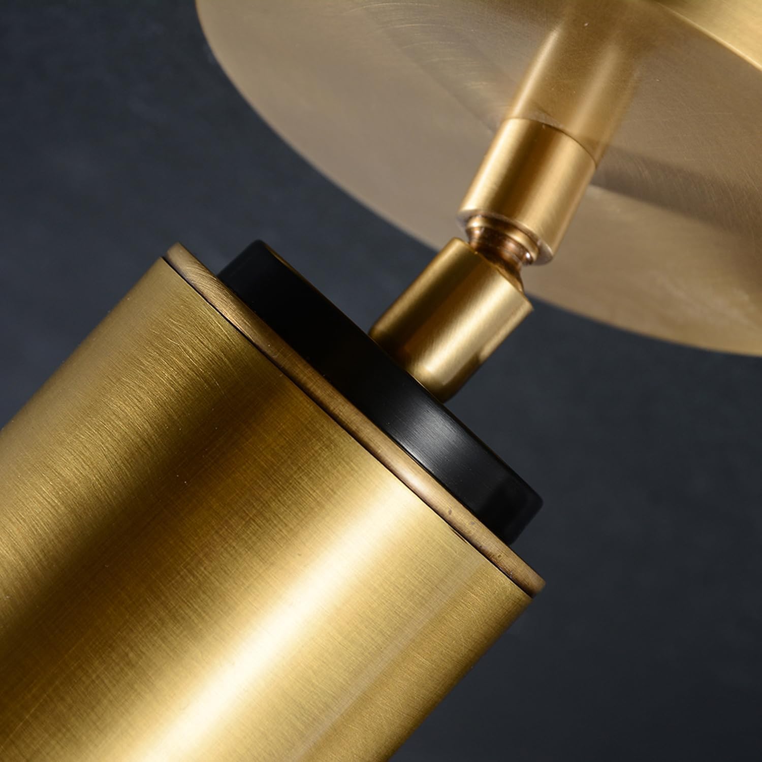 Cameron Adjustable Brass Ceilling Spotlight, Dimmable Directional Brass Wall Lighting Fixtures