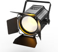 Stage Lights with Barn Doors, 200W COB LED Par Can Lights Spotlights, 2 in 1 Cool White & Warm White DMX512 Sound Activated Uplights for Events Parties Wedding Theater Church Concert Dance