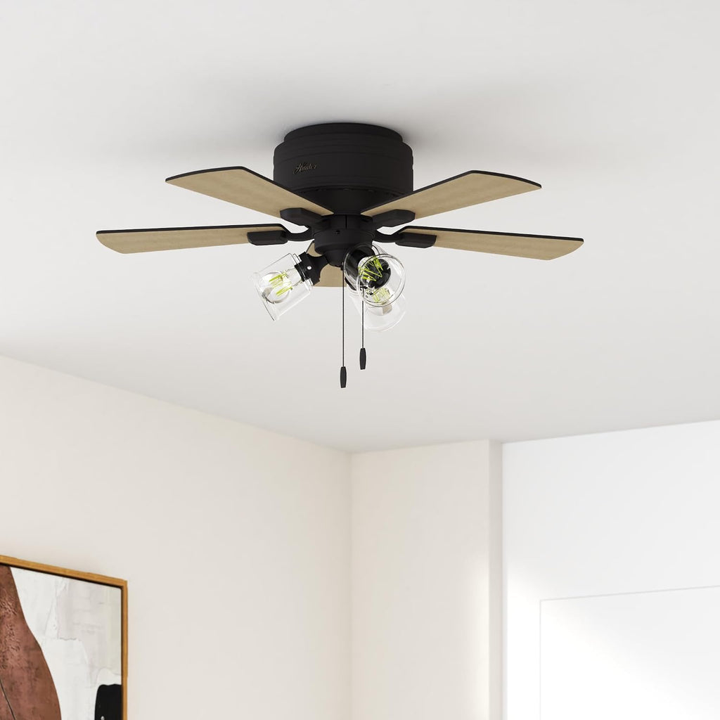 Hunter Fan 42 inch Noble Bronze Low Profile Indoor Ceiling fan with Clear Rippled Glass Light Kit and LED Bulbs (Renewed)