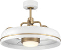 Craftmade TYL24WSB3-NWF Taylor 24 Inch 3 Blade Ceiling Fan | White and Satin Brass Finish with Clear Acrylic Blades | Integrated 1167 Lumens LED 3000K | Remote Included | DC Motor Indoor Fandelier