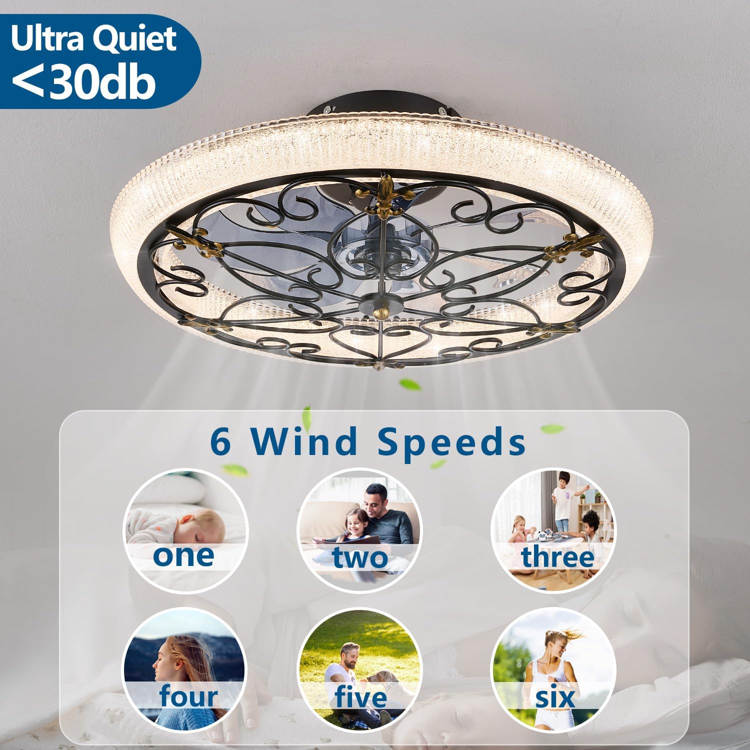 Black Caged Ceiling Fan with Lights Remote Control, 6 Speeds Rustic Industrial Ceiling Fan Light with Crystal Sand Lampshade for Kitchen Bedroom Living Room