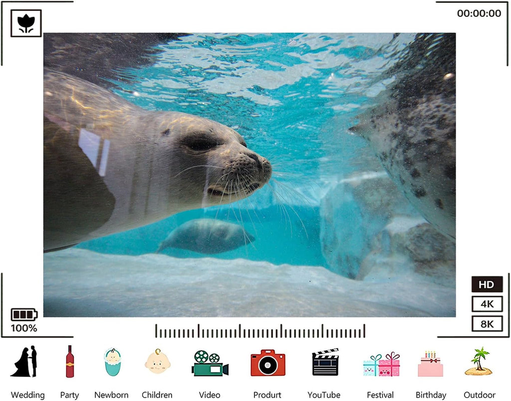 Trykid 20x10ft Underwater Sea Lion Backdrop Clear Blue Water Rocks Marine Mammal Scene Photography Background Aquarium Birthday Party Decoration Photo Booth Prop Fabric