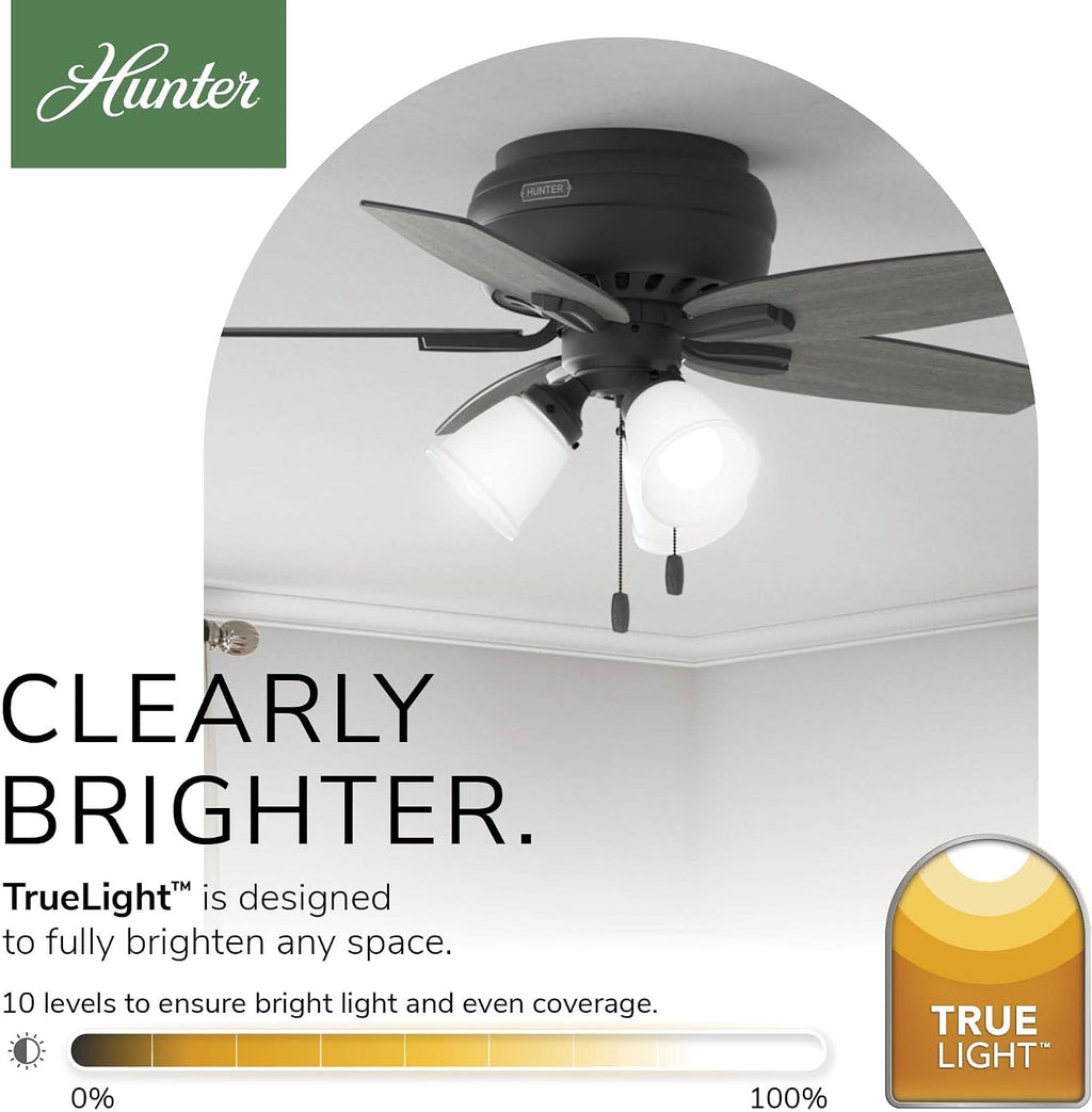 Hunter 42 inch Indoor Ceiling Fan with LED Lights - Black Ceiling Fan with Pull Chain, For Bedroom or Living Room, Low Profile Flush Mount, No Remote, 5 Blades - Newsome 52393, Matte Black