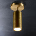 Cameron Adjustable Brass Ceilling Spotlight, Dimmable Directional Brass Wall Lighting Fixtures