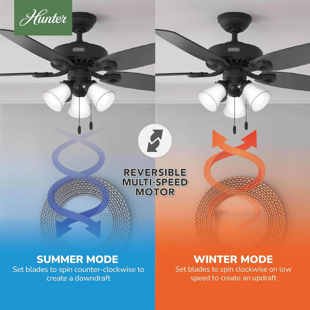 Hunter 52 inch Indoor Ceiling Fan with LED Lights - Black Ceiling Fan with Pull Chain, For Bedroom or Living Room, Standard Mount, No Remote, 5 Blades, Includes Bulbs- Builder Plus 52387, Matte Black