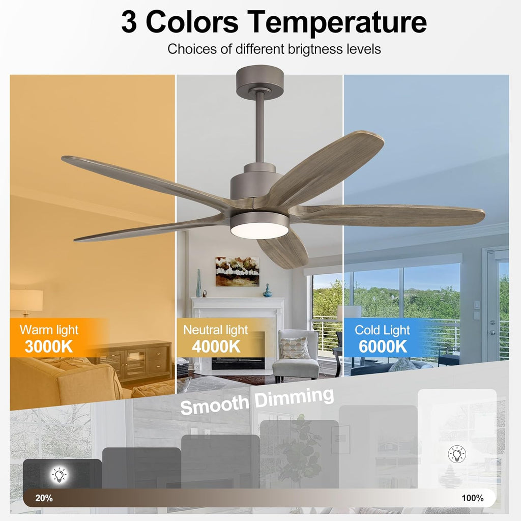 WINGBO 54' Ceiling Fan with Light - 5 Carved Solid Wood Blades, 6-Speed Reversible DC Motor, Dimmable, 3CCT, Noiseless Remote Control Ceiling Fans with Lights for Bedroom Living Room, Charcoal Gray